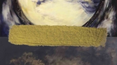 84dcf8a8cba0259cf11299c1eef358f9_L