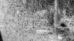 b9ad772005653afce4d4bd46c2efe842_L